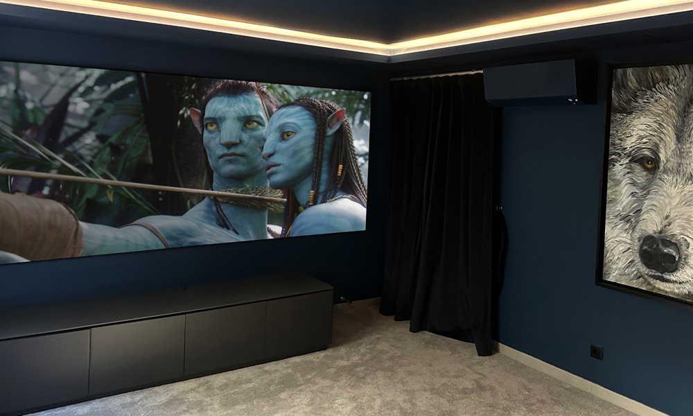 Dedicated home cinema showing avatar