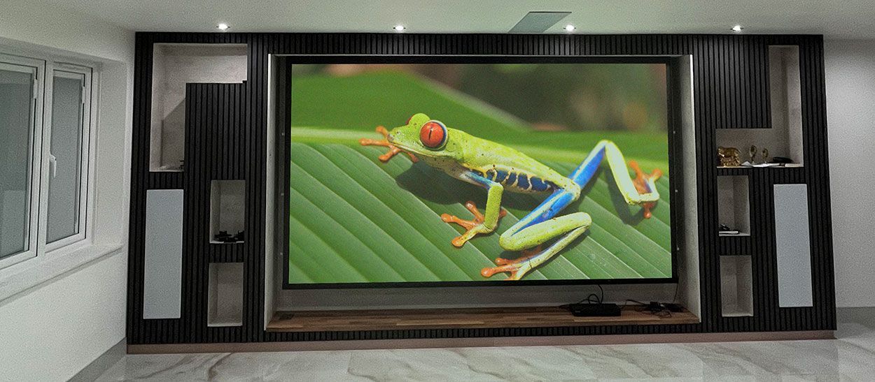 Northampton Home Cinema with frog on screen