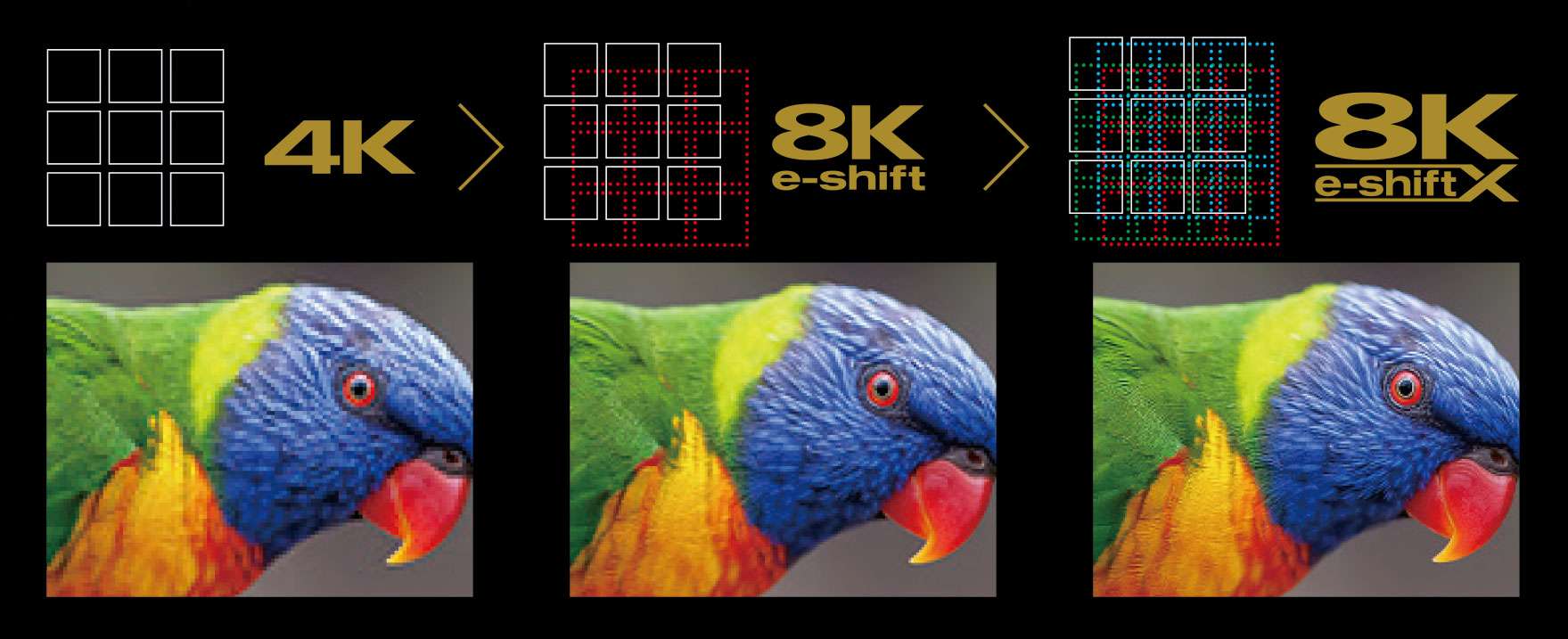 4K resolution vs 8K resolution vs 8K eshift JVC resolution with a parrot